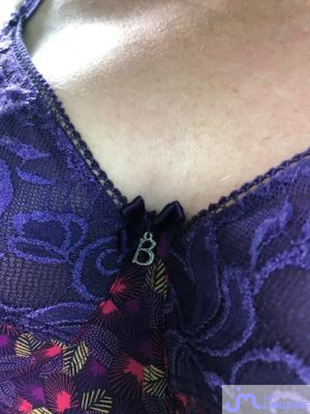 lingeries de sylvpicardie1